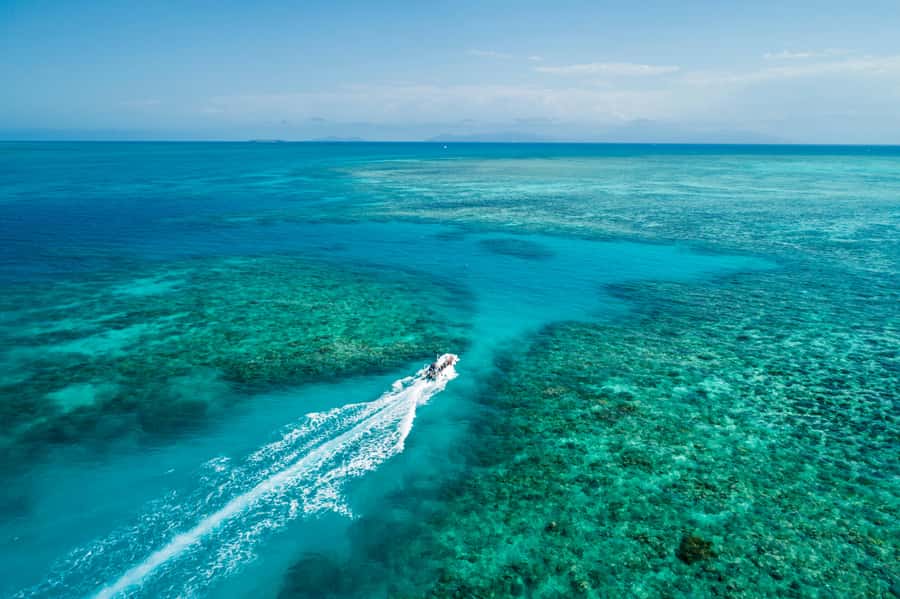 Cairns: Outer and Coral Cay Snorkel and Dive Cruise - Key points before you book