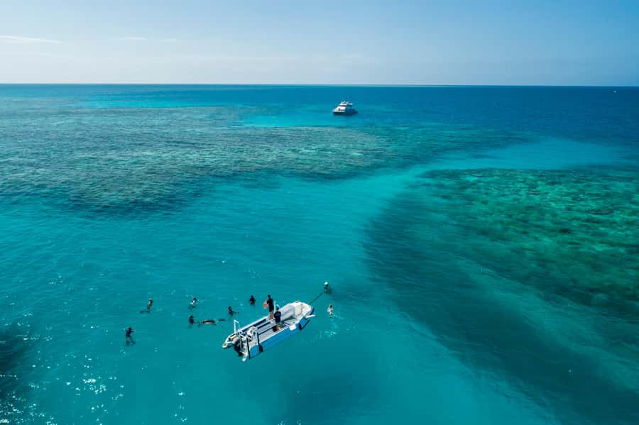 Cairns: Outer and Coral Cay Snorkel and Dive Cruise - Why six hours on the reef matters