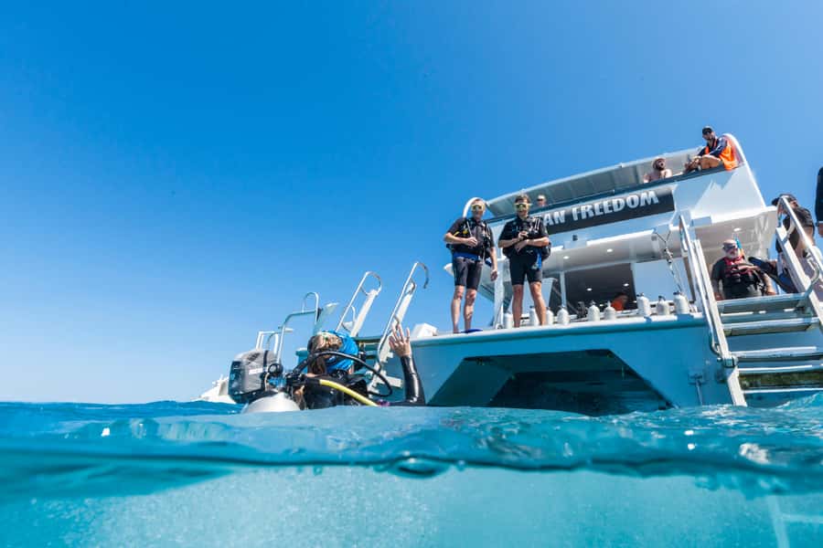 Cairns: Outer and Coral Cay Snorkel and Dive Cruise - The return to Cairns