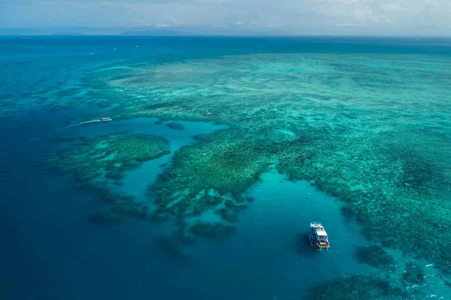 Cairns: Outer and Coral Cay Snorkel and Dive Cruise - What the group size means