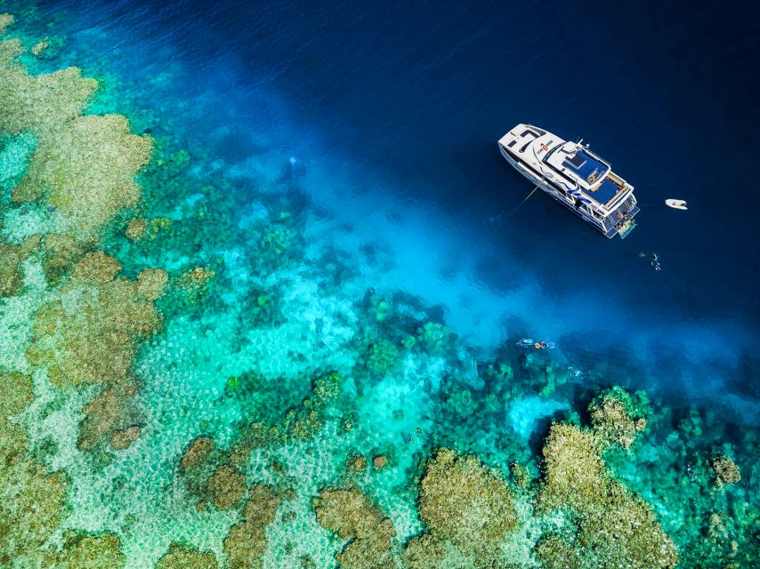 Cairns: Premium Snorkelling and Diving Reef Day Trip - Should you book Divers Den AquaQuest?