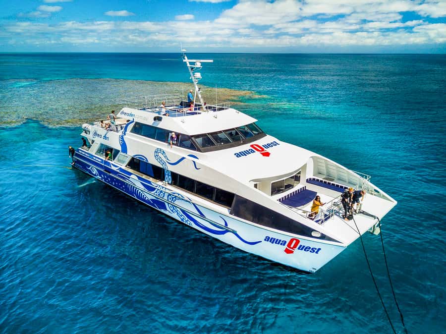 Cairns: Premium Snorkelling and Diving Reef Day Trip - Leaving Cairns at 8:30 AM