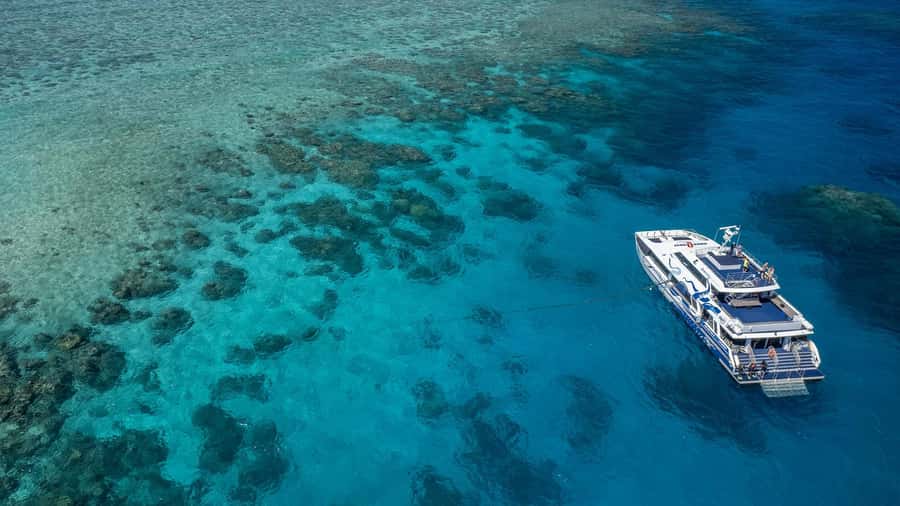 Cairns: Premium Snorkelling and Diving Reef Day Trip - Lunch, hot showers, and a proper break