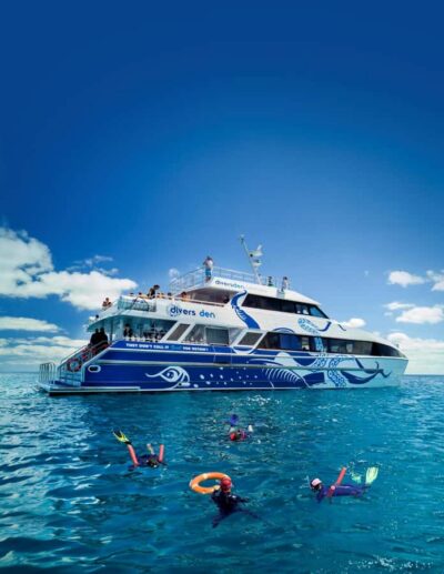 Cairns: Premium Snorkelling and Diving Reef Day Trip