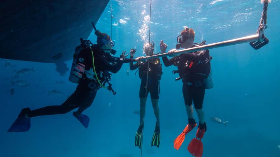 Cairns: Premium Snorkelling and Diving Reef Day Trip - The second reef site and more time in the water