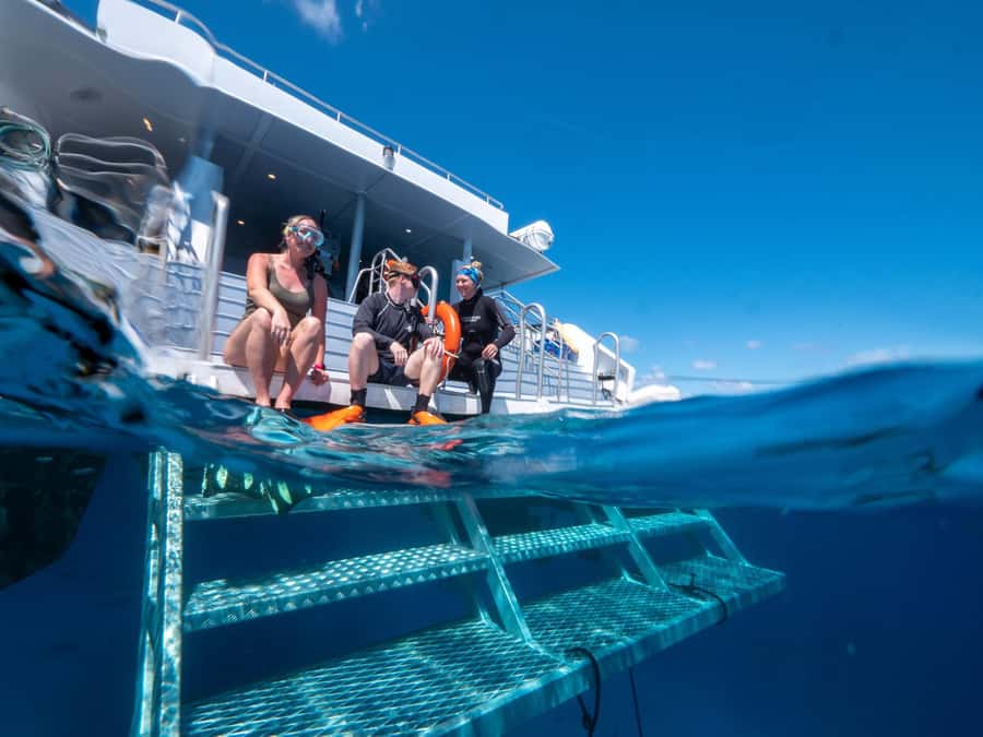 Cairns: Premium Snorkelling and Diving Reef Day Trip - Is $166 good value?