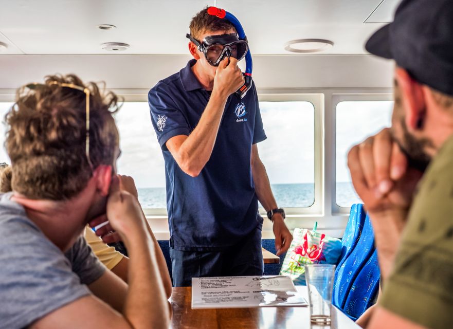 Cairns: Premium Snorkelling and Diving Reef Day Trip - Who should book this reef trip?