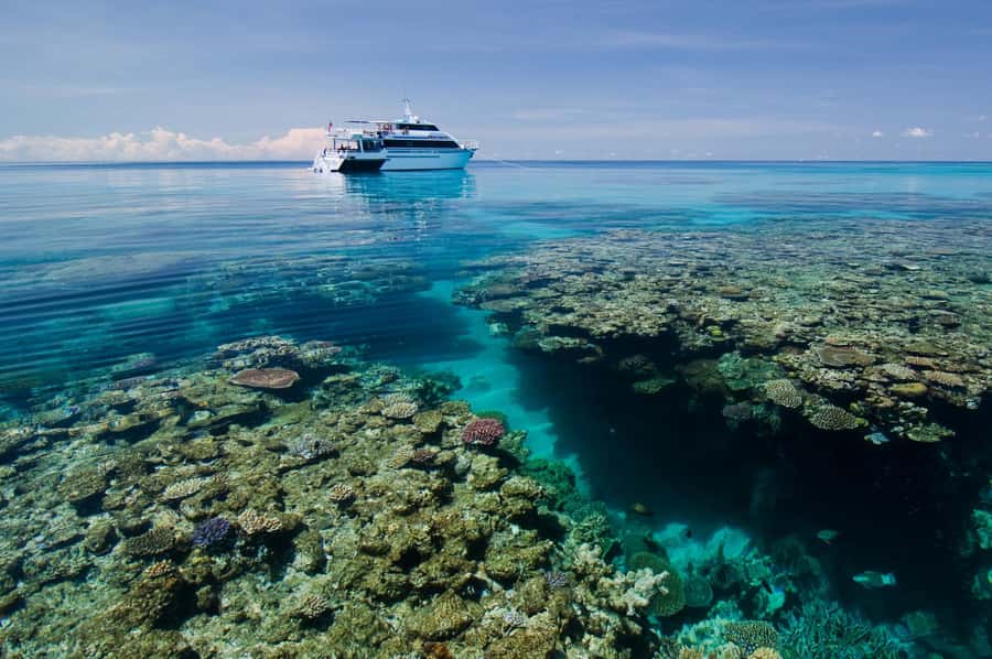 Cairns: Pro Dive 5 Day Learn to Dive Great Barrier Reef - Key points at a glance