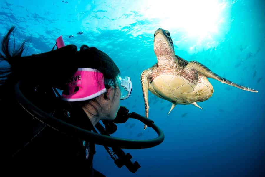 Cairns: Pro Dive Great Barrier Reef 3 Day/2 Night Dive Trip - Why three days makes a real difference
