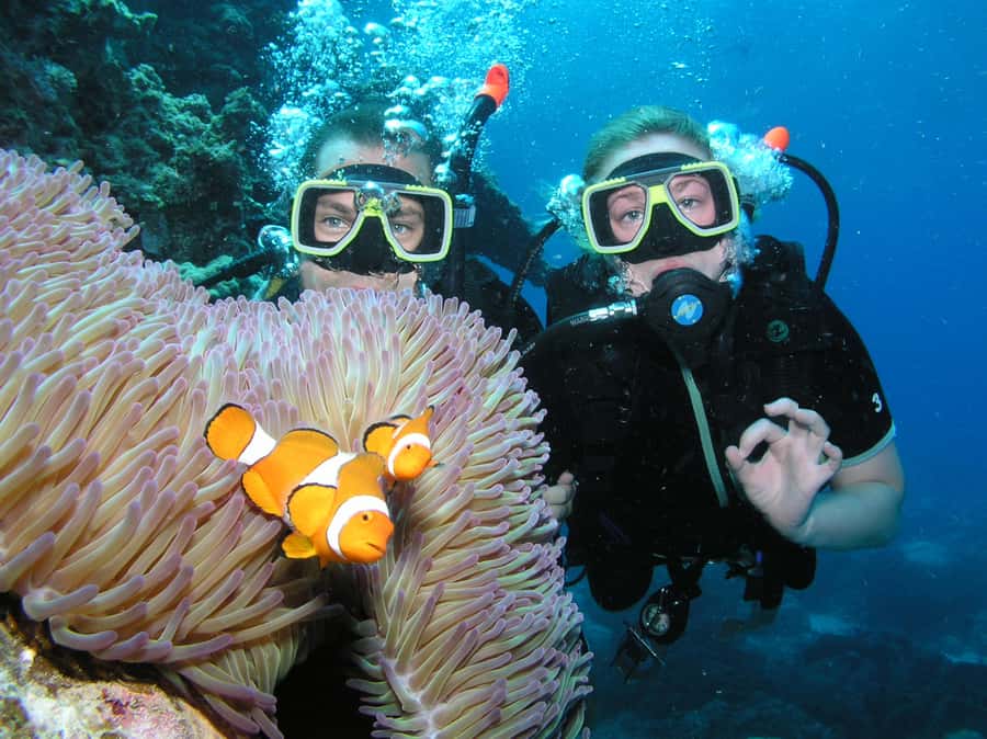 Cairns: Pro Dive Great Barrier Reef 3 Day/2 Night Dive Trip - What the three-day schedule feels like