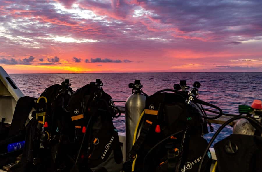 Cairns: Pro Dive Great Barrier Reef 3 Day/2 Night Dive Trip - Life aboard a 32-passenger boat