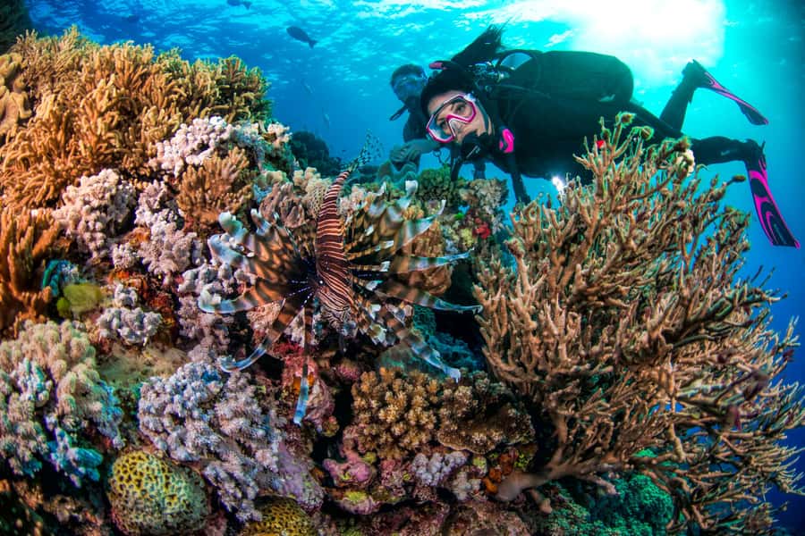 Cairns: Pro Dive Great Barrier Reef 3 Day/2 Night Dive Trip - Safety, health, and the flight restriction