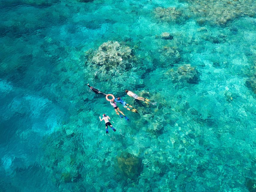 Cairns: Snorkelling and Diving Reef Day Trip - Snorkelling for families and nervous swimmers