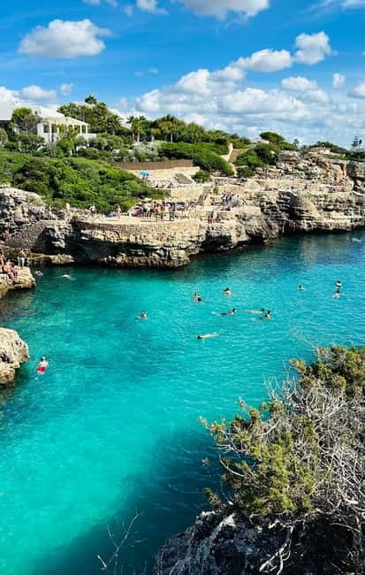 Cala en Blanes: Secret spots for the best dives with a local guide - Key points to know before you book