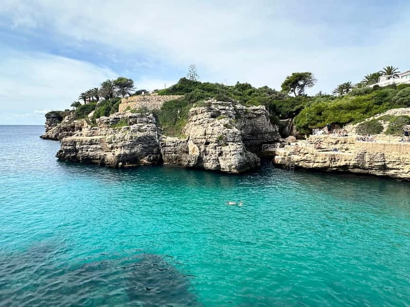 Cala en Blanes: Secret spots for the best dives with a local guide - Price, group size, and what the value means