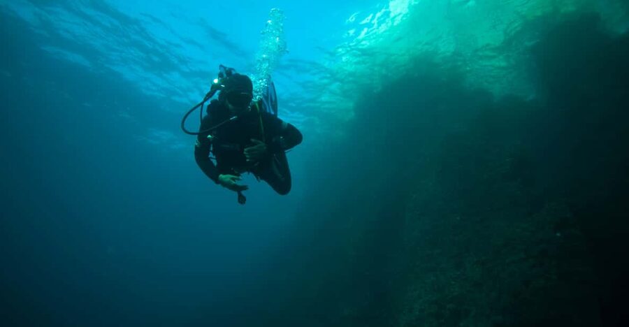 Calanques National Park Snorkel and Scuba Dive - Starting at Port de la Pointe Rouge at 9:00 am
