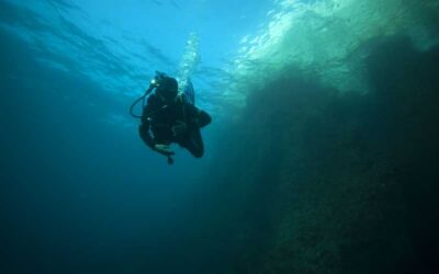 Calanques National Park Snorkel and Scuba Dive