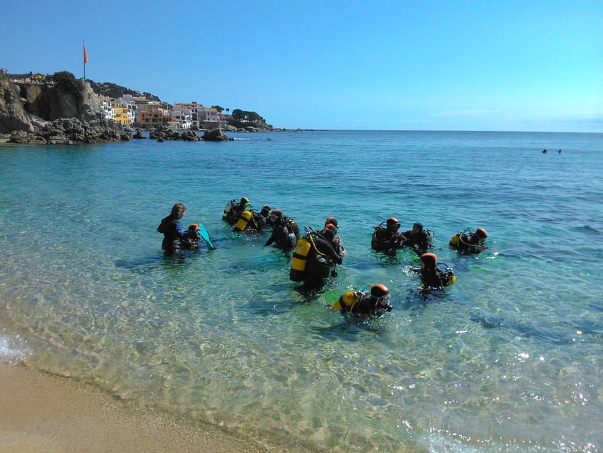 Calella de Palafrugell : Discover Scuba Diving Experience - Starting on the beach in Calella de Palafrugell
