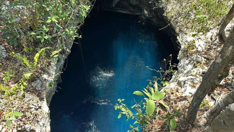 Cancun 2 Cenote Dives: The Pit & Dos Ojos - Certified Divers - Dos Ojos brings the second setting