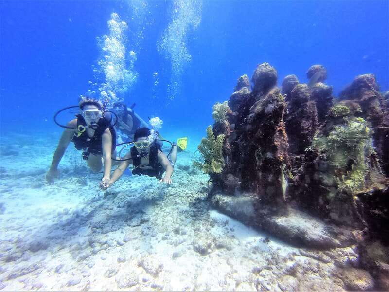 Cancun: 2-Tank Dive for Beginners with MUSA and Reef Dive - Why this Cancun scuba outing works for beginners
