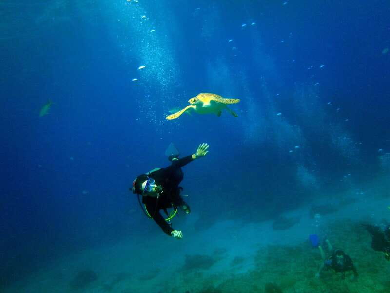 Cancun: 2-Tank Dive for Beginners with MUSA and Reef Dive - The classroom lesson and pool practice