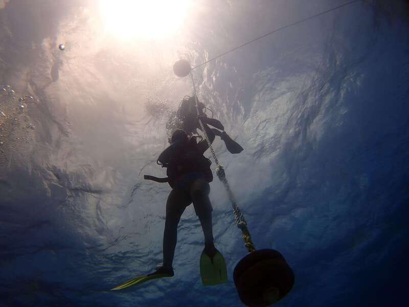 Cancun: 2-Tank Dive for Beginners with MUSA and Reef Dive - Should you book it?