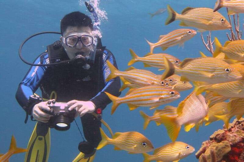 Cancun: Beginner Scuba Diving at Underwater Museum - Manchones Reef shifts the focus to marine life