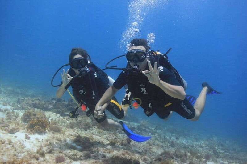 Cancun: Dive Underwater Museum & Manchones Reef - Why This Cancun Outing Feels Different