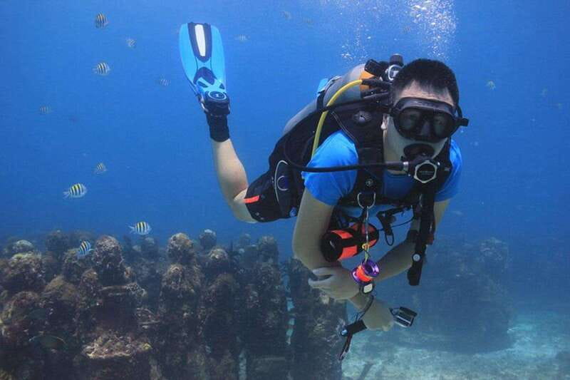 Cancun: Dive Underwater Museum & Manchones Reef - The Underwater Museum: Art Below the Surface