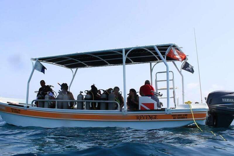 Cancun: Dive Underwater Museum & Manchones Reef - What the Two Open-Water Sessions Include