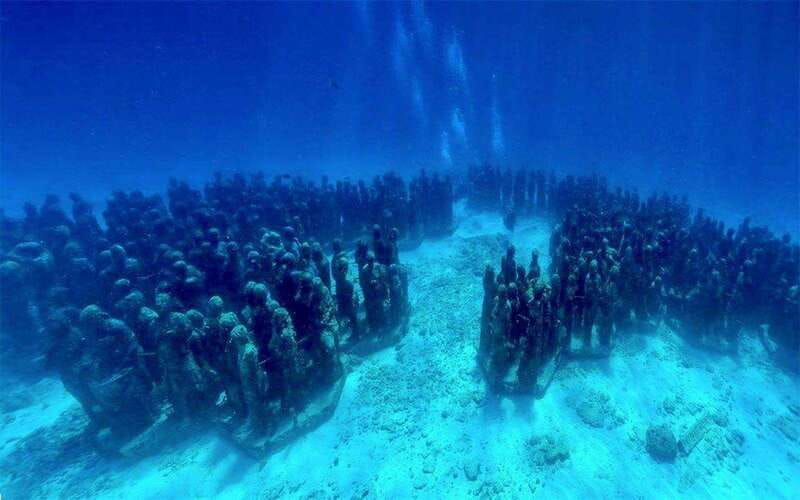 Cancun: MUSA Diving for certified divers morning dive trip - Key points to know before booking