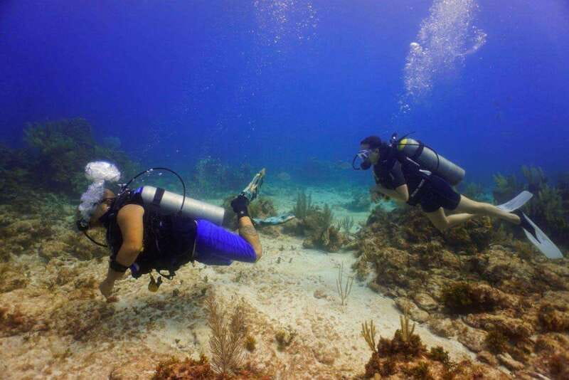 Cancun: MUSA Diving for certified divers morning dive trip - What makes MUSA worth seeing