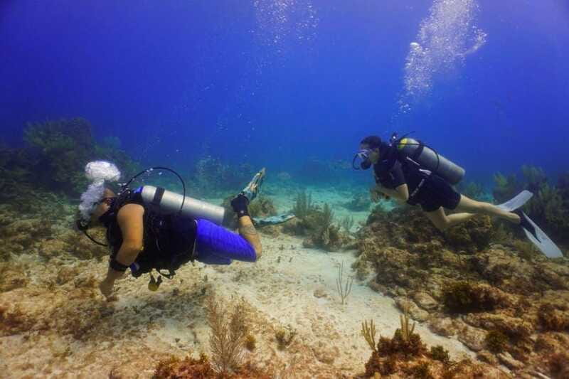 Cancun: MUSA Diving for certified divers morning dive trip - Practical ways to improve your day