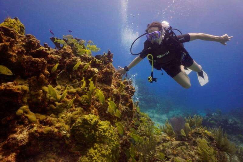 Cancun: MUSA Diving for certified divers morning dive trip - From your Cancun hotel to the boat