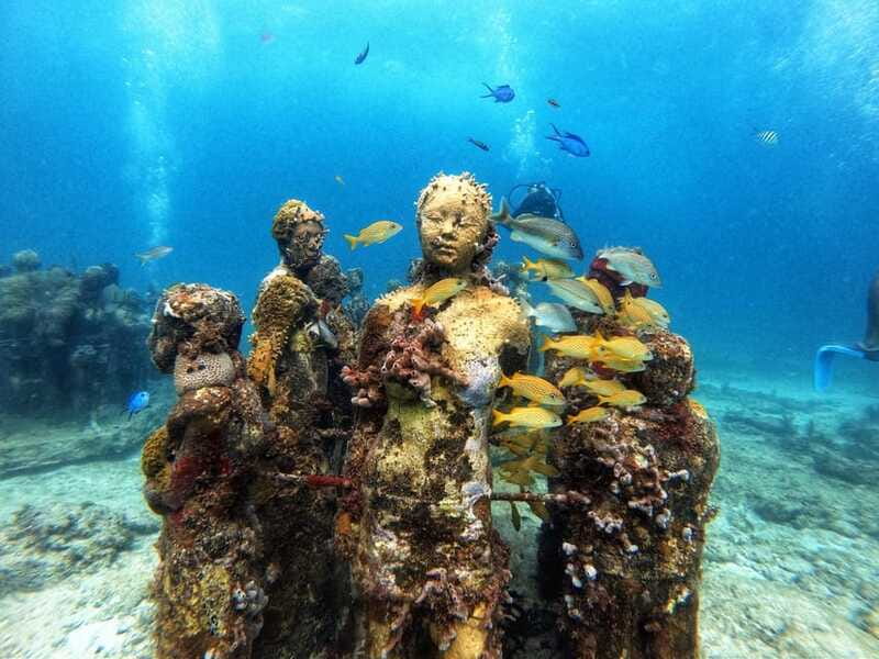 Cancun: Musa Underwater Museum & Reef Discover Scuba Diving - Who should book this Cancun scuba outing?