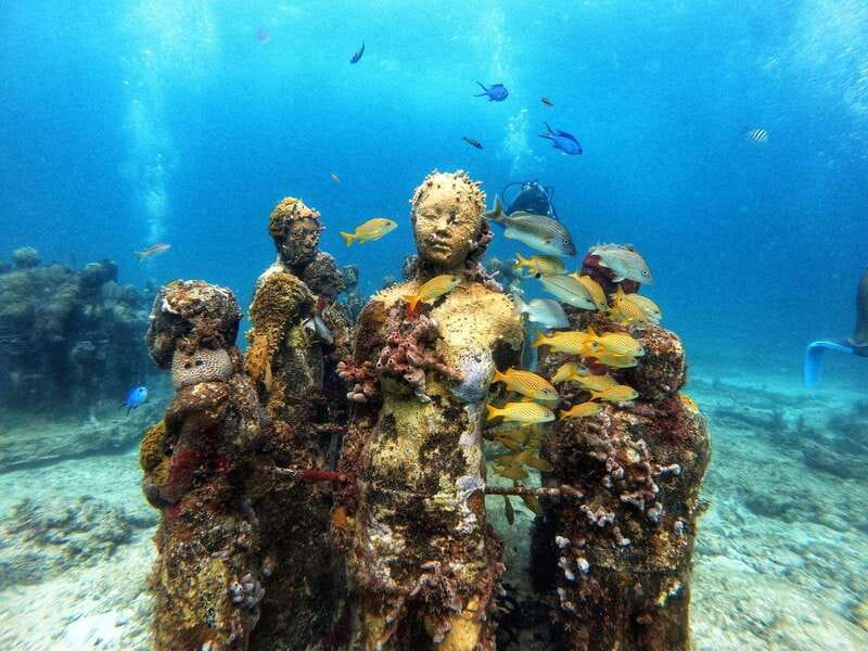Cancun: Musa Underwater Museum & Reef Discover Scuba Diving - The 105-minute lesson: the part you should value most