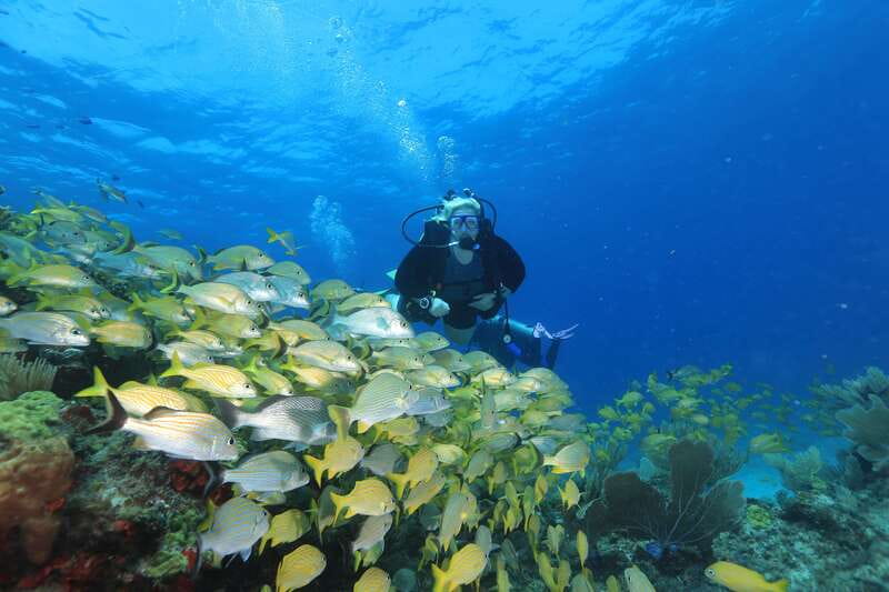 Cancun: Scuba Diving for Beginners, 2 Dives - What the $167 price really includes