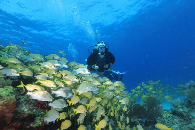 Cancun: Scuba Diving for Beginners, 2 Dives - MUSA: sculptures with a marine life setting