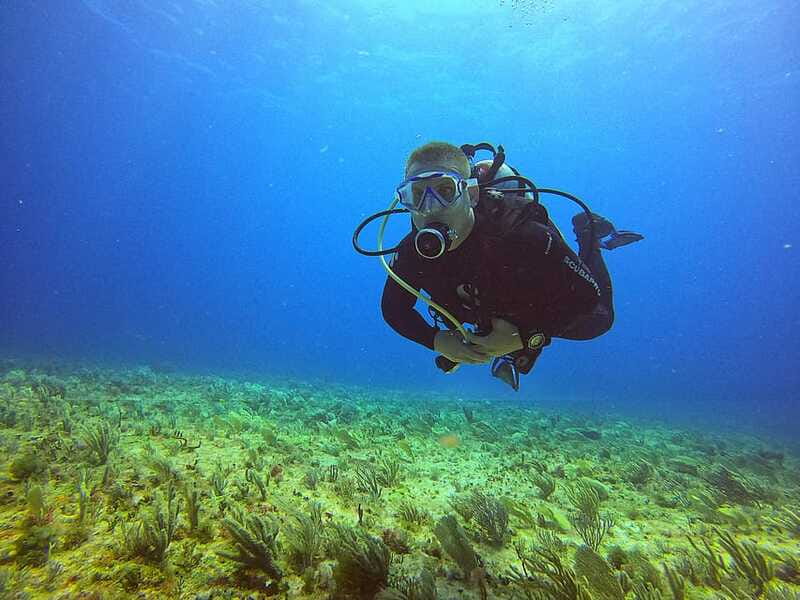 Cancun: Scuba Diving for Certified Divers, 3 options to dive - Marine life you may encounter
