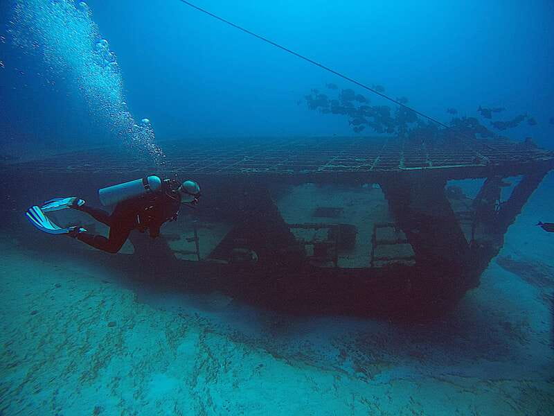 Cancun: Scuba Diving for Certified Divers, 3 options to dive - Equipment, guides, and safety