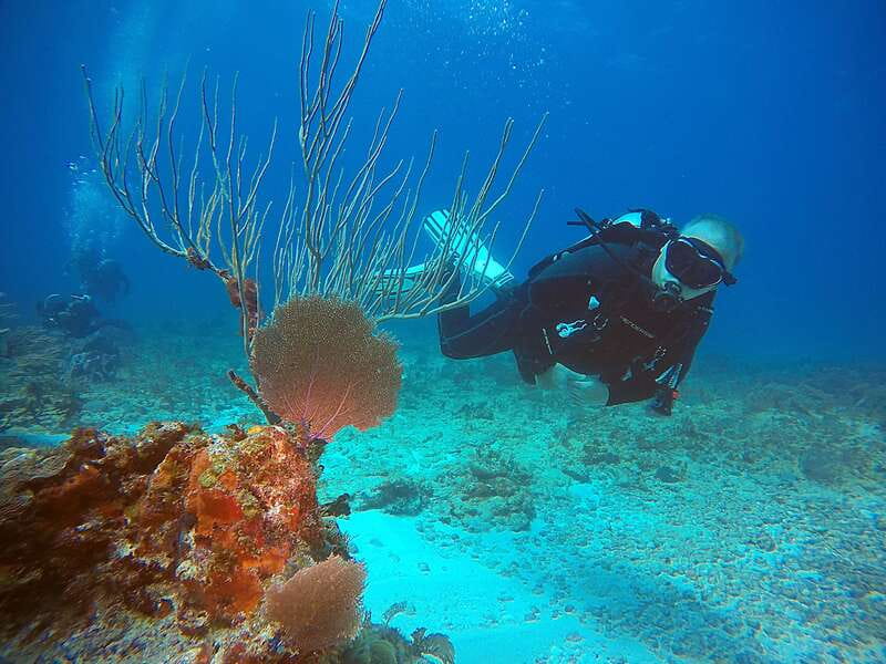 Cancun: Scuba Diving for Certified Divers, 3 options to dive - Meeting at Sotavento Hotel