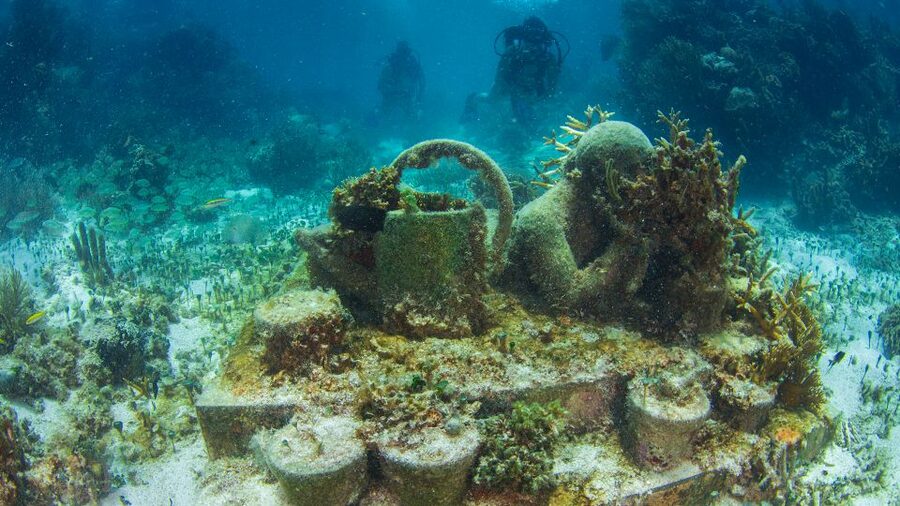 Cancún: Underwater Museum & Reef for Certified Scuba Divers - Is the MUSA and Manchones Reef outing worth booking?