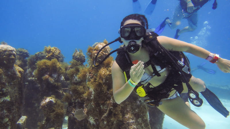 Cancún: Underwater Museum & Reef for Certified Scuba Divers - How much the $98 price really covers