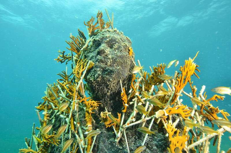 Cancún: Underwater Museum & Reef for Certified Scuba Divers - The boat ride to Manchones Reef