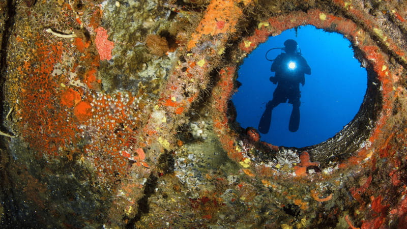 Cancún: Wreck and Reef for Certified Scuba Divers - Why the C-58 wreck makes this trip special