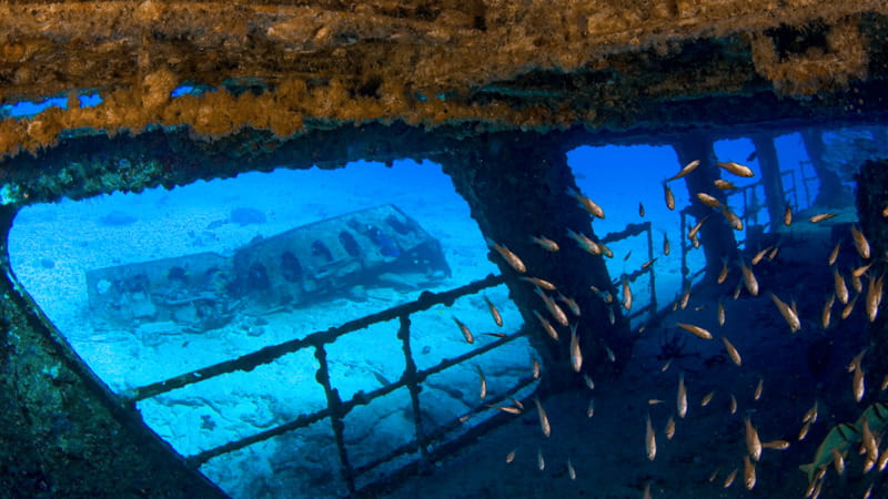 Cancún: Wreck and Reef for Certified Scuba Divers - Equipment, instructor, and what the $95 covers