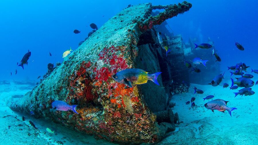 Cancún: Wreck and Reef for Certified Scuba Divers - Who will enjoy this outing most