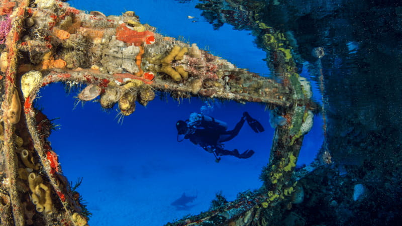 Cancún: Wreck and Reef for Certified Scuba Divers - What entering the wreck is likely to feel like