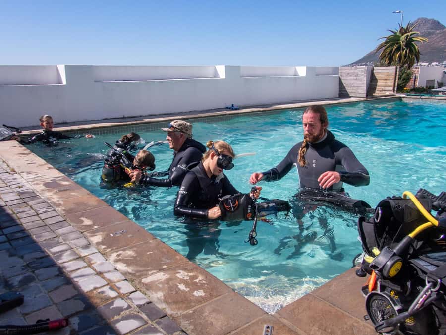 Cape Town: Discover Scuba Diving - 1 day experience - Key points before you book