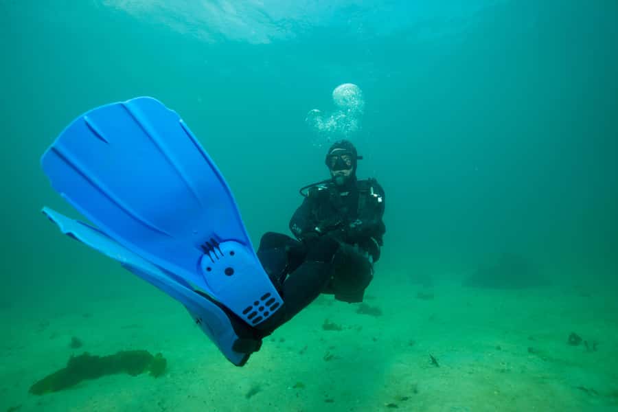 Cape Town: Discover Scuba Diving - 1 day experience - Starting at Dive Team in Simon’s Town